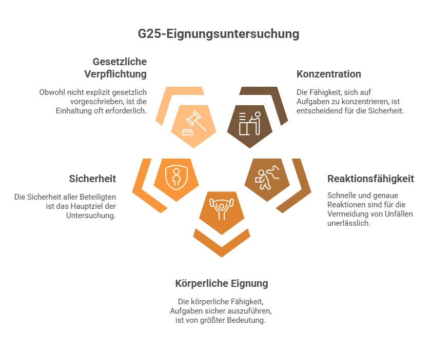 G25-Eignungsuntersuchung
